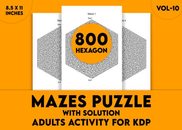 Sharpen Your Mind with Adults Hard Hexagon Mazes Puzzles Vol-10